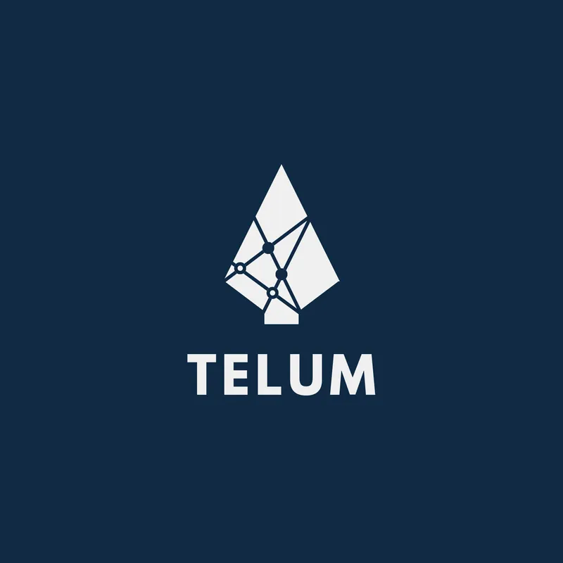 Hvorfor vi startet Telum